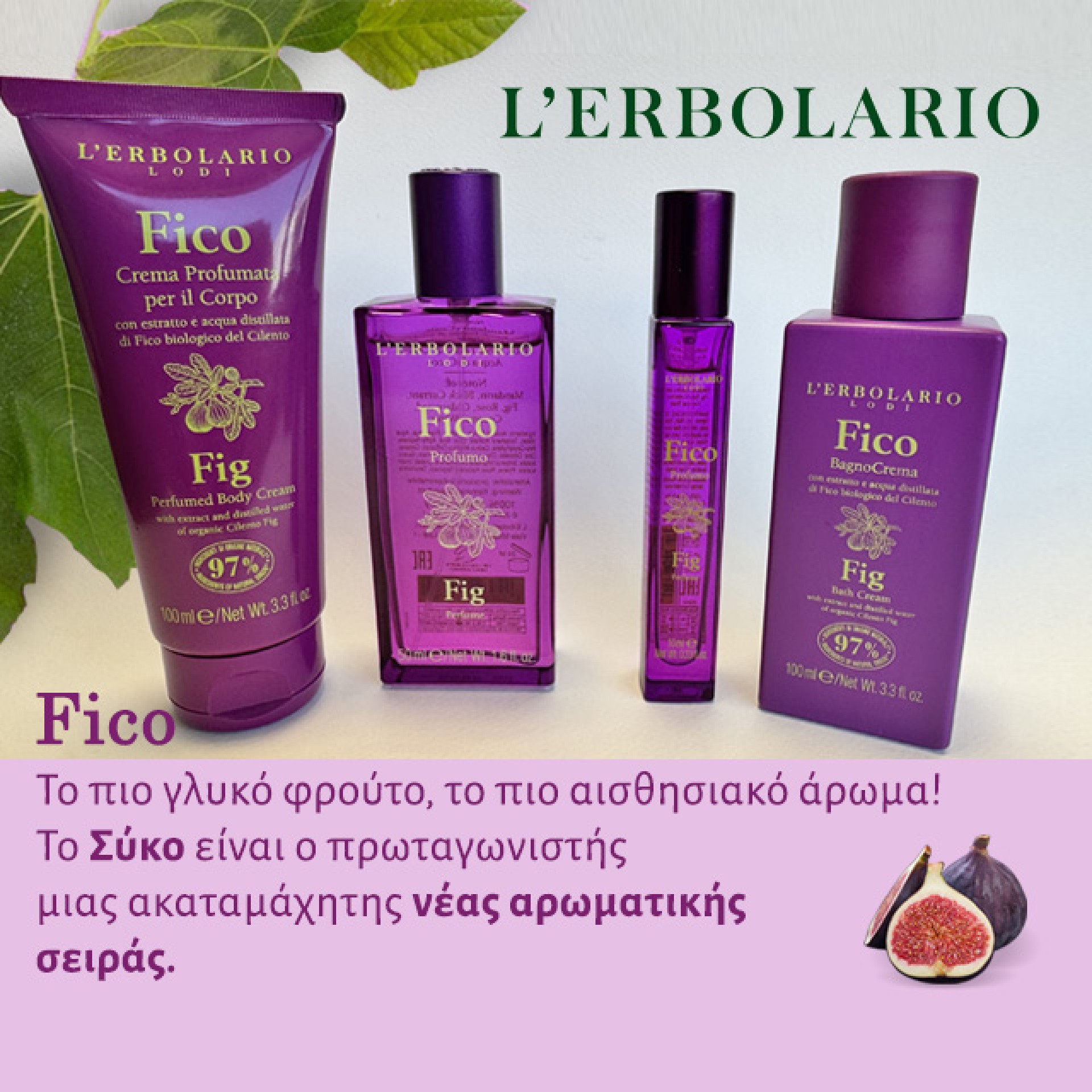 Lerbolario Fico mob