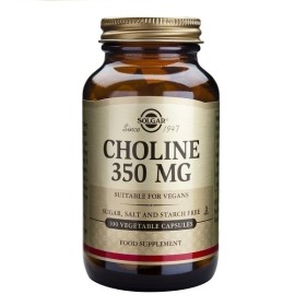 Solgar Choline 350mg Χολίνη 100 caps