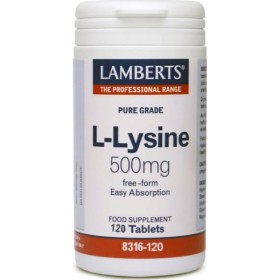 Lamberts L-Lycine 500mg 120tabs