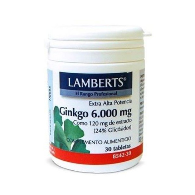 Lamberts Ginkgo Biloba Extract 6000mg 90tabs